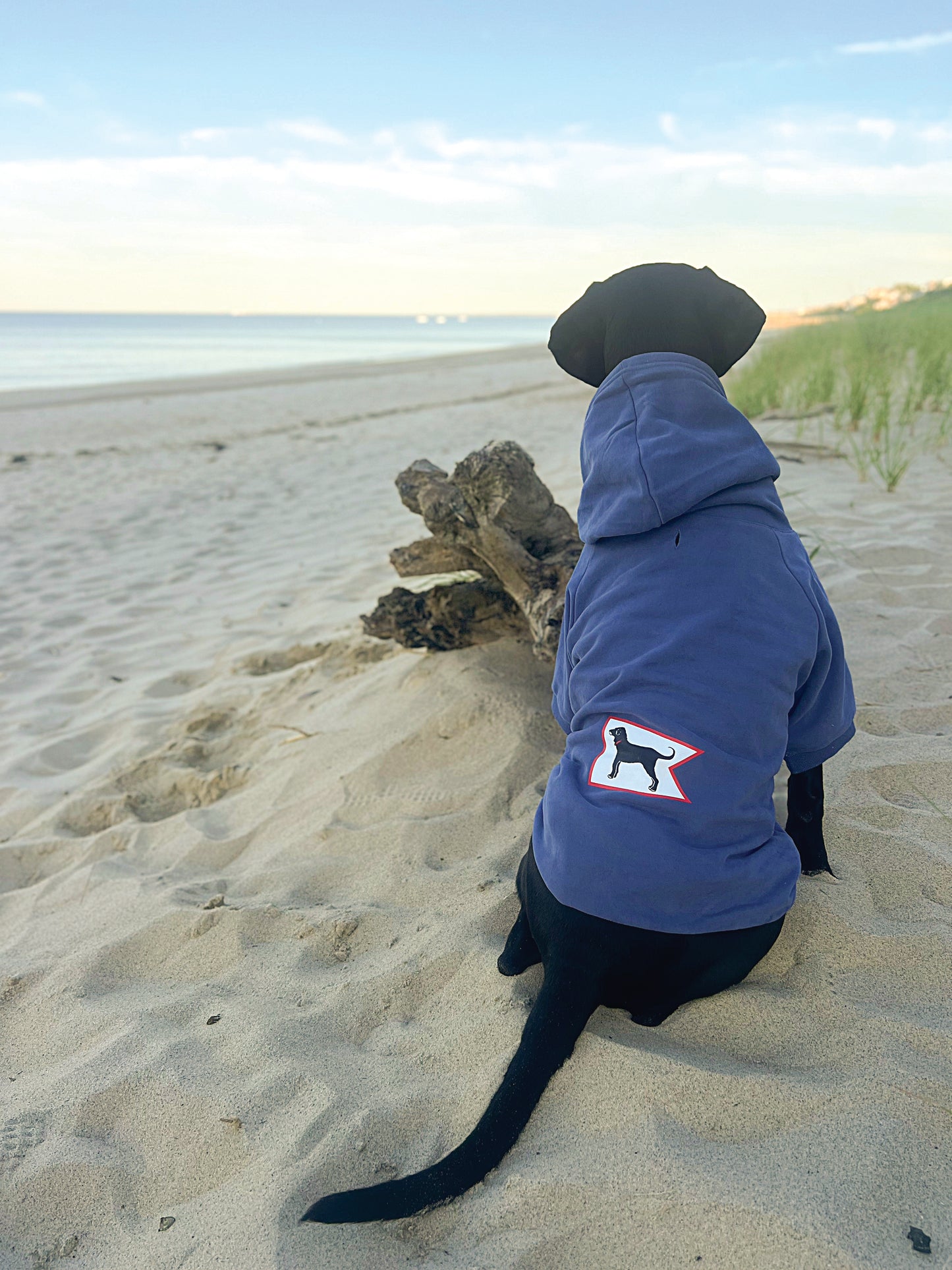 Burgee Sweatshirt For Dogs