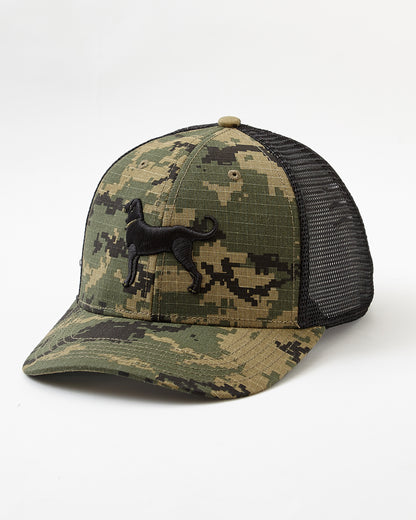 Adult Mid-Pro Snapback