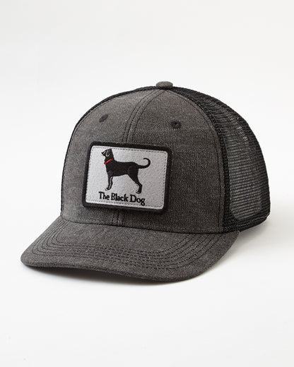 Adult Mid-Pro Snapback