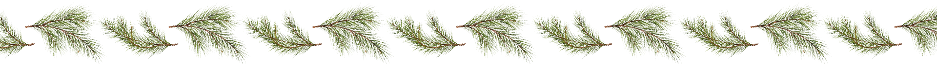 Pine_Divider