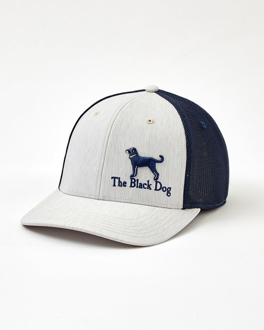 Adult Eco Blue Hat