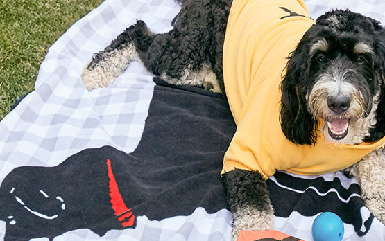 SHELTER-U-IMAGE-BANNER-MOBILE