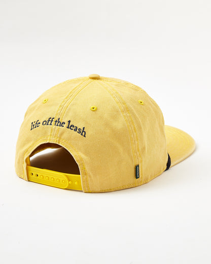 Adult Skully Snapback Hat