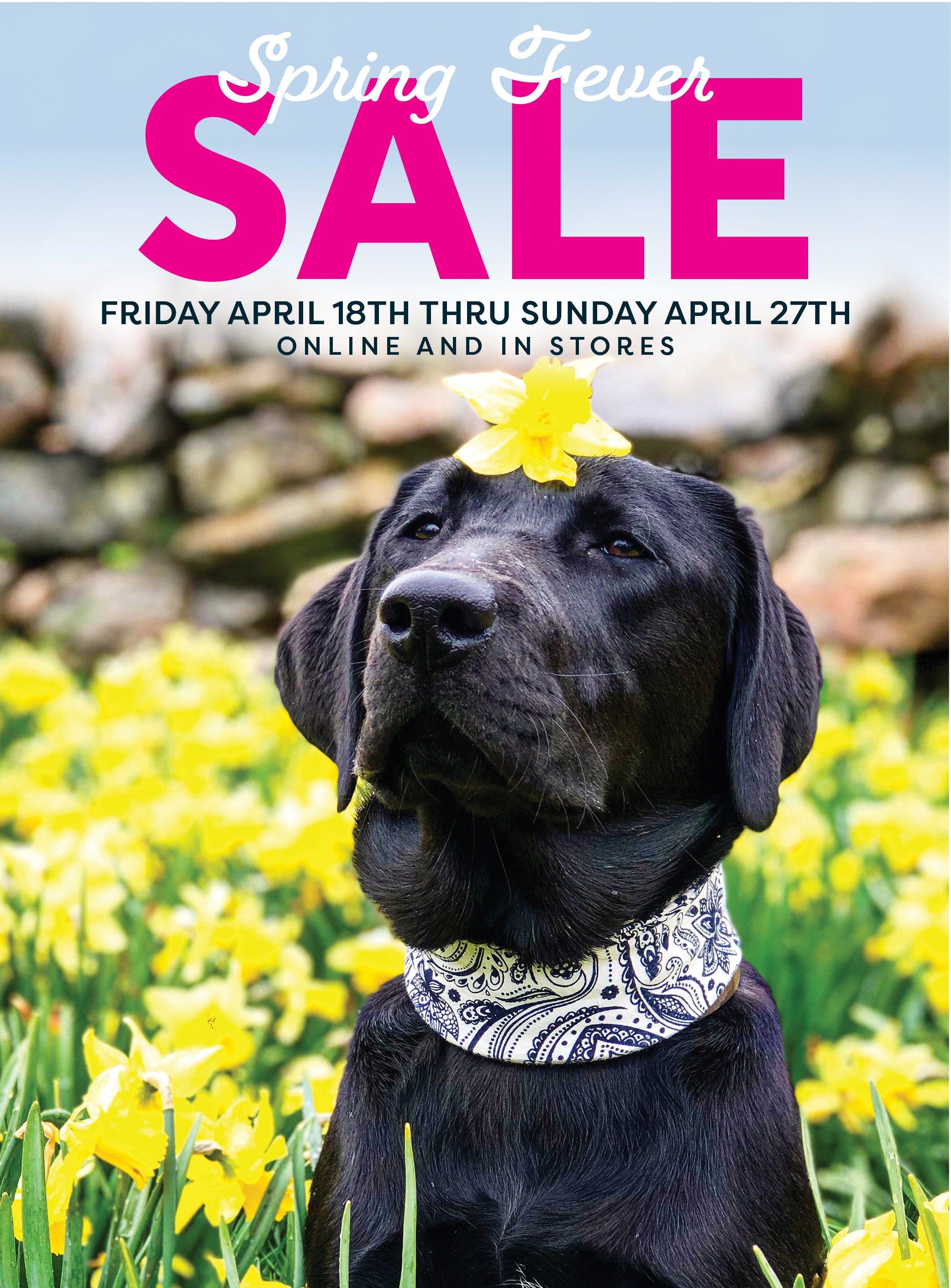The Black Dog Tavern Company | Life off the Leash | Apparel