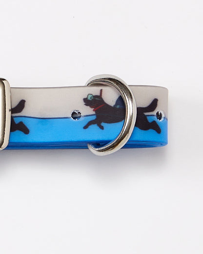 Shark Waterproof Nylon Dog Collar