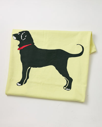 Classic Sweatshirt Blanket