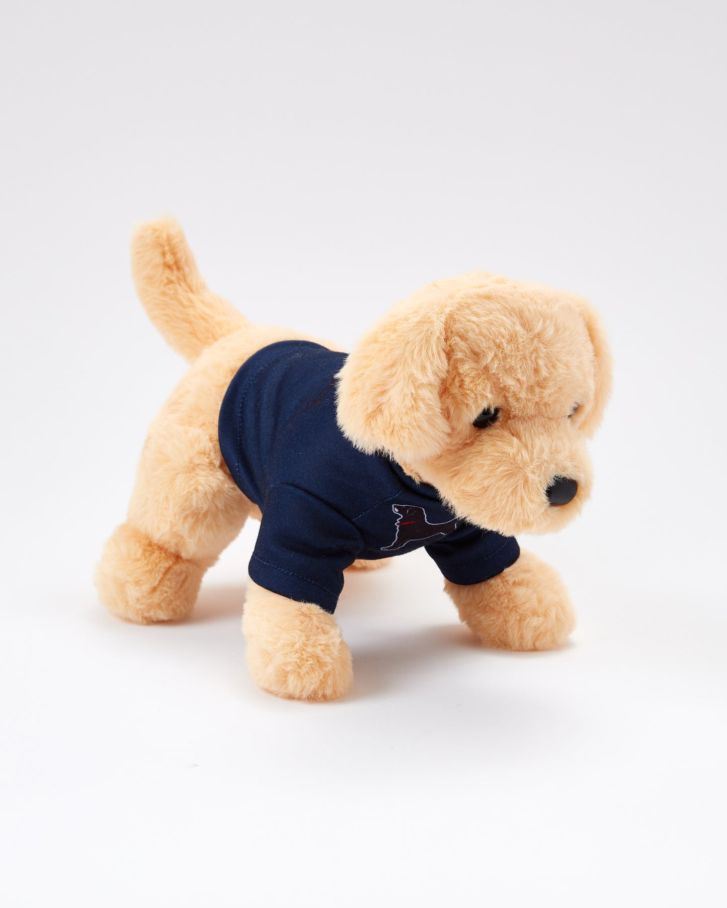 Caroline The Yellow Lab