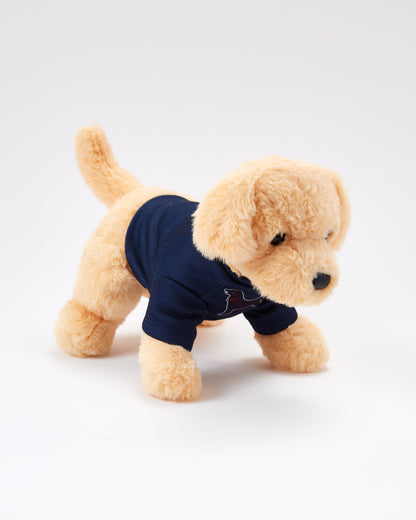 Caroline The Yellow Lab