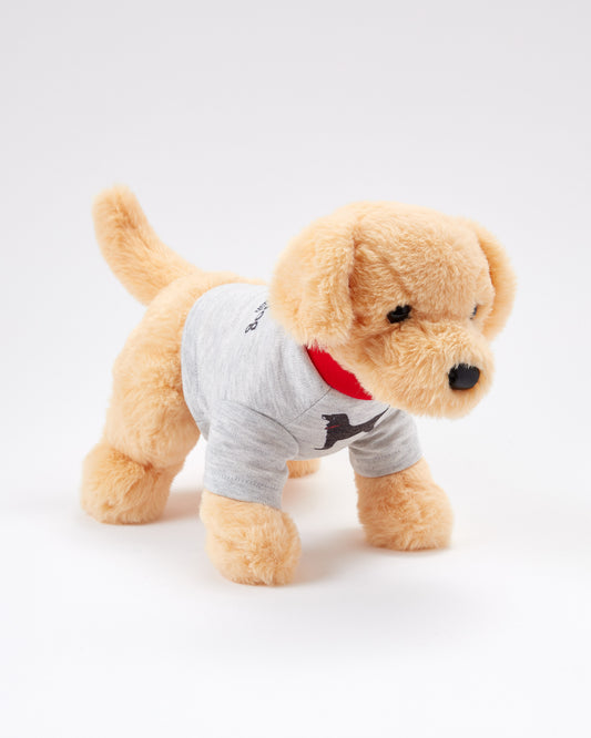 Caroline The Yellow Lab