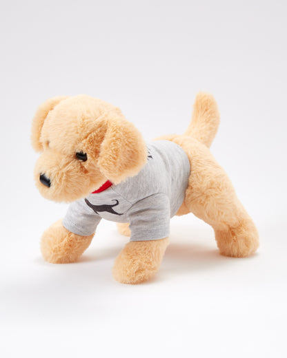 Caroline The Yellow Lab