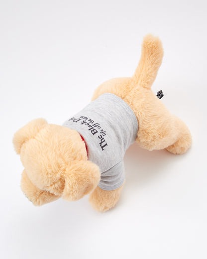 Caroline The Yellow Lab