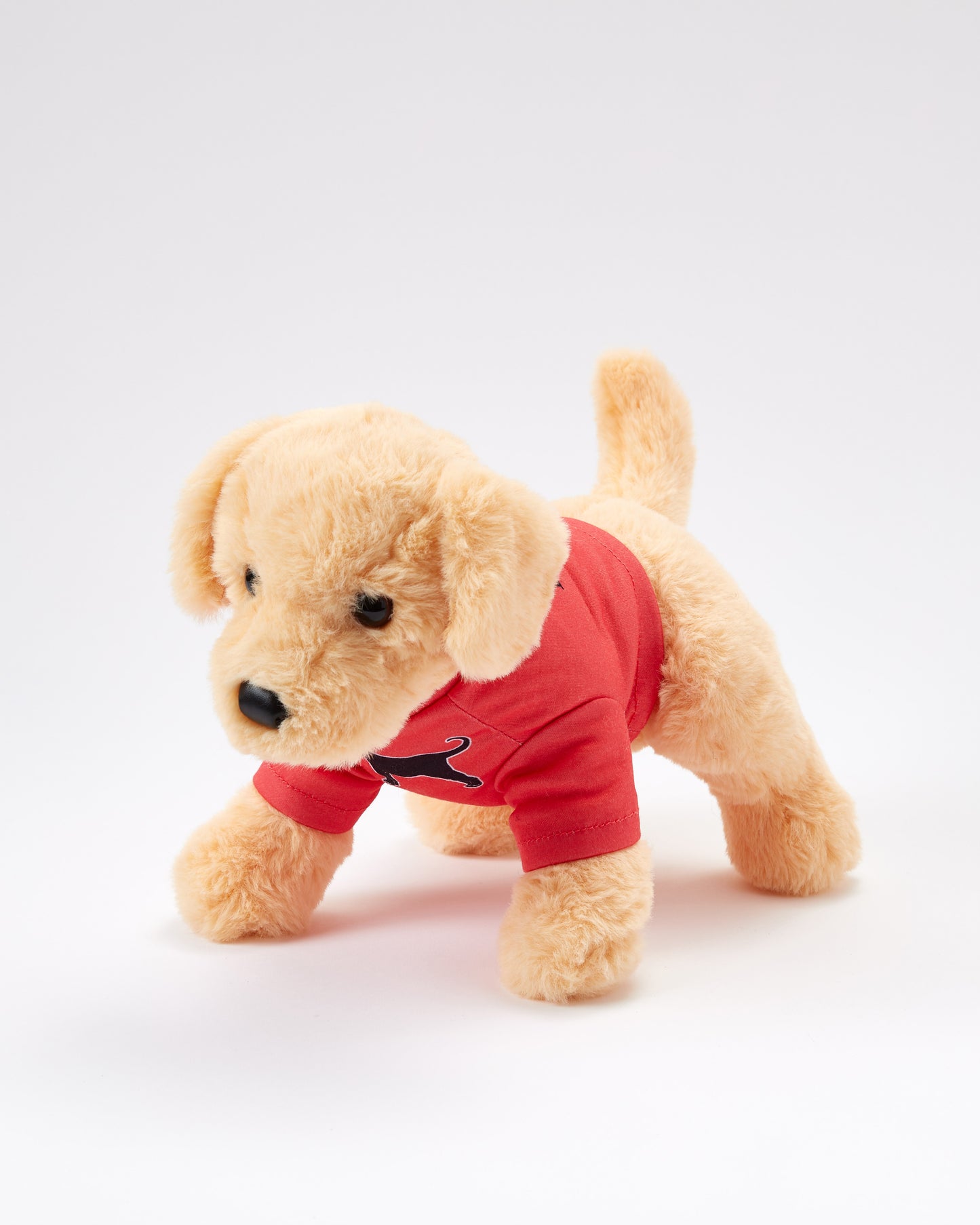 Caroline The Yellow Lab