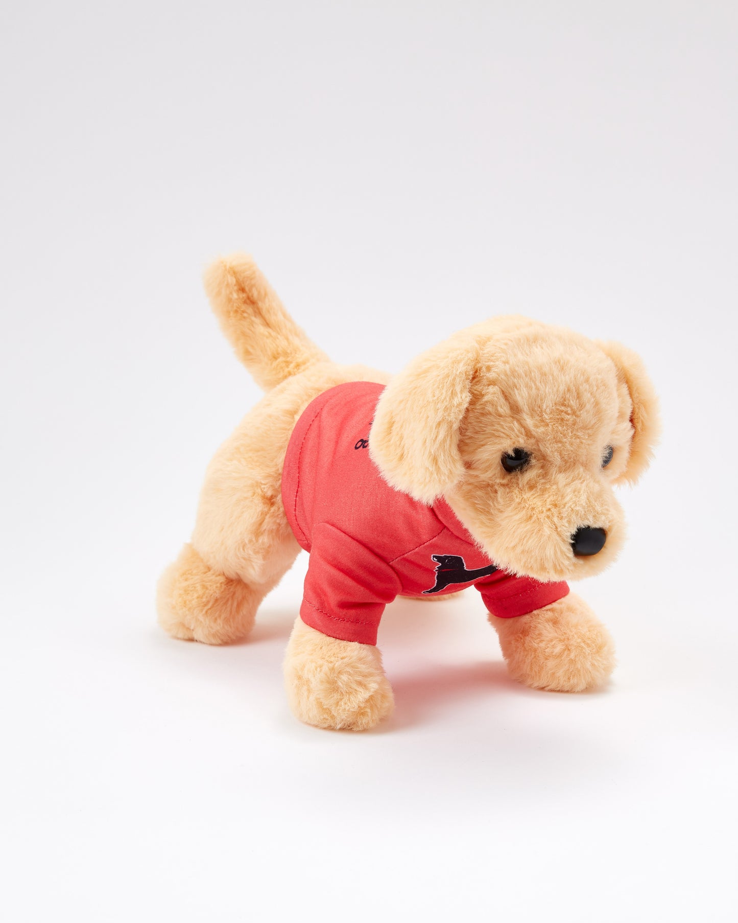 Caroline The Yellow Lab