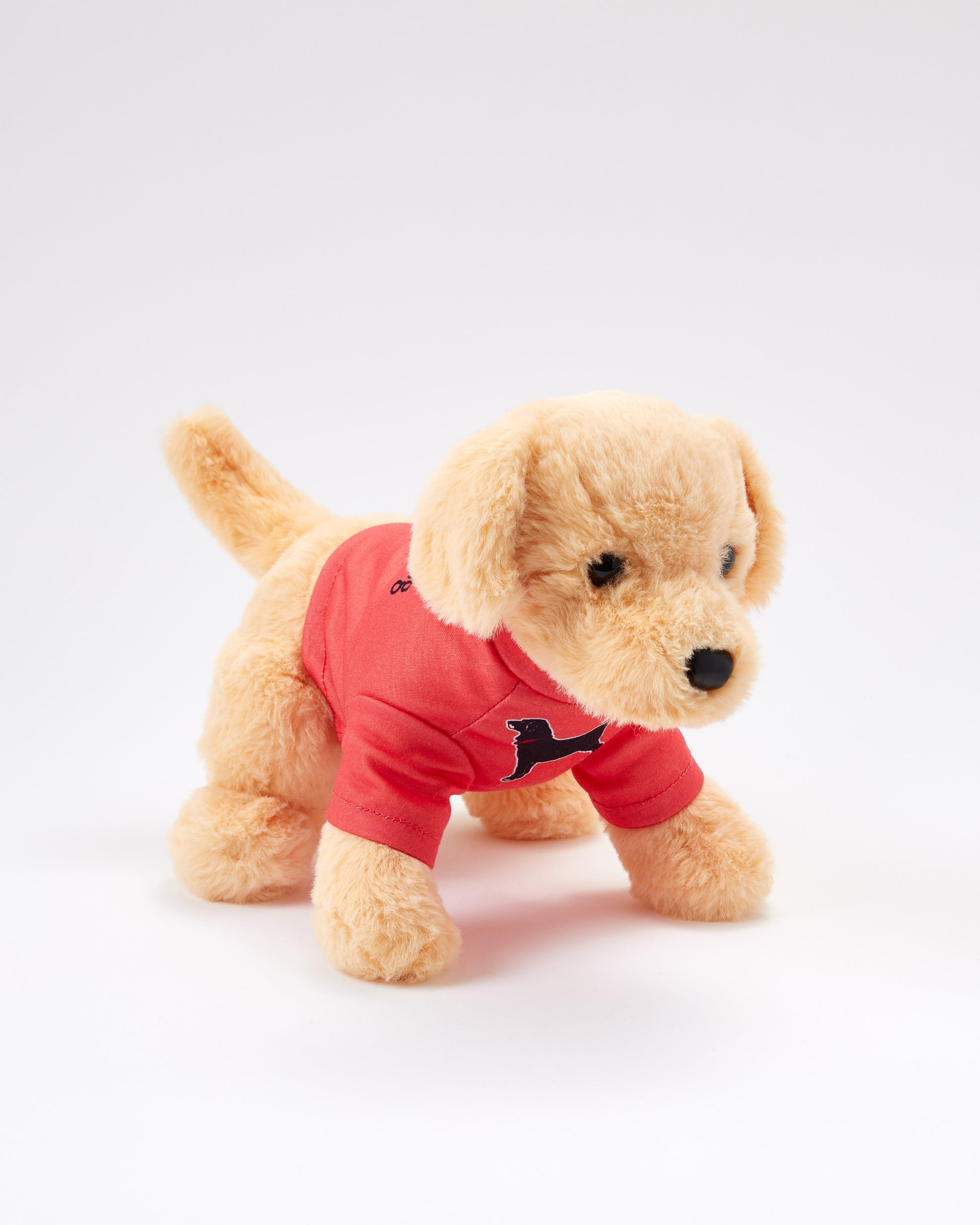 Caroline The Yellow Lab