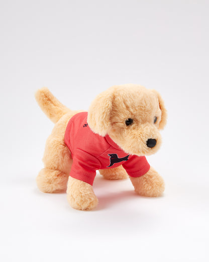 Caroline The Yellow Lab