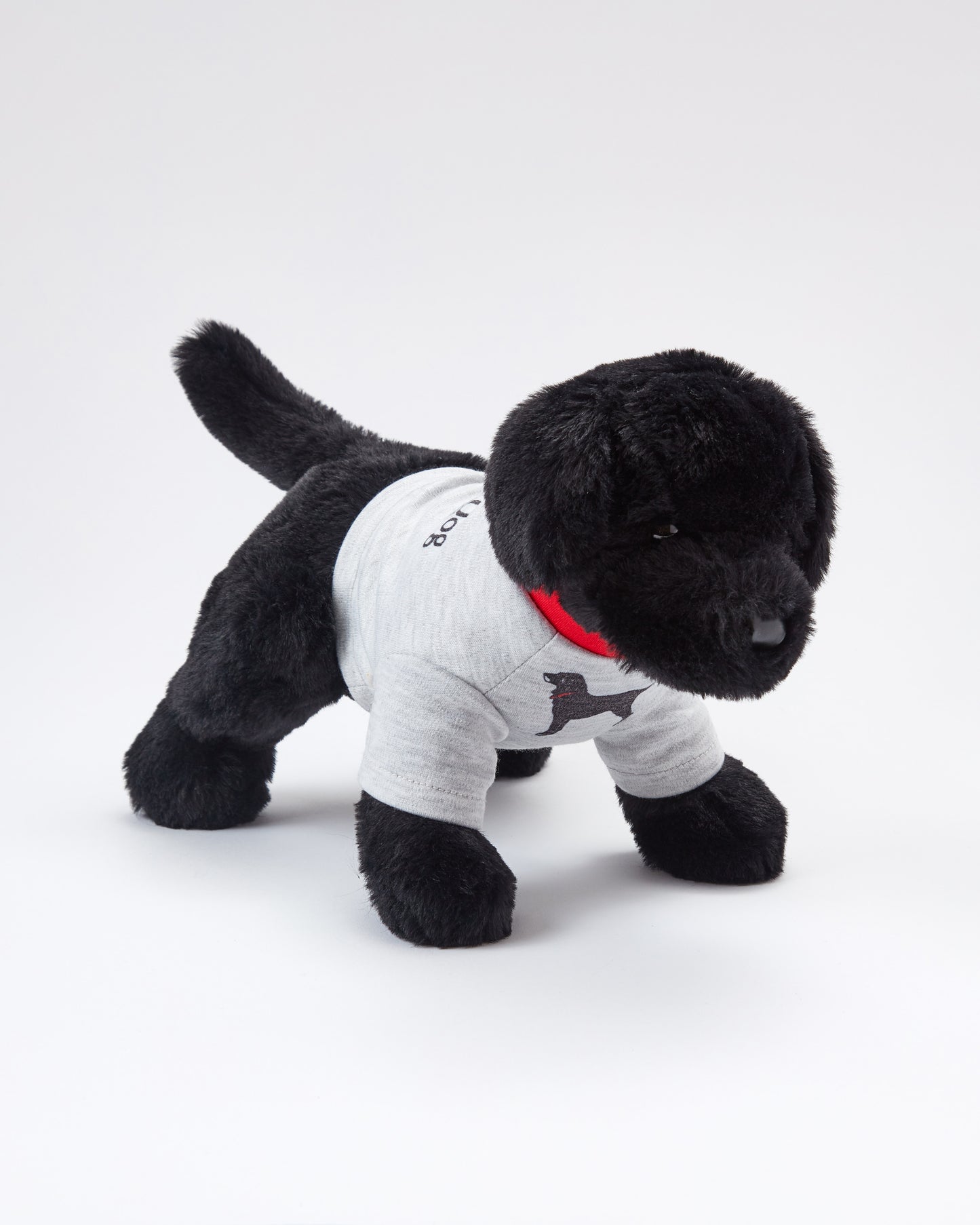 Charlie The Black Lab