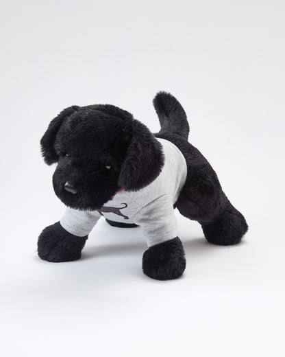 Charlie The Black Lab