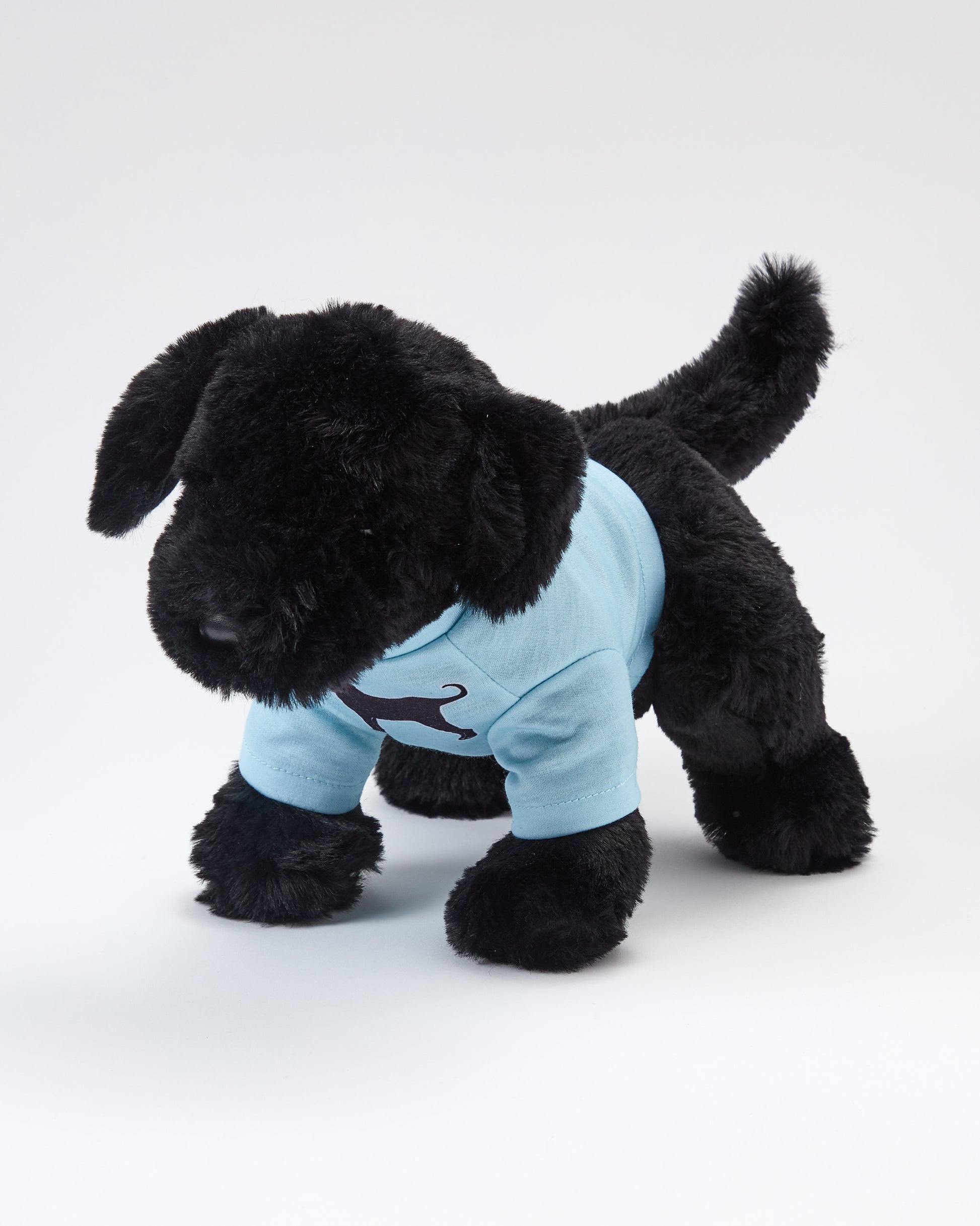 Charlie The Black Lab