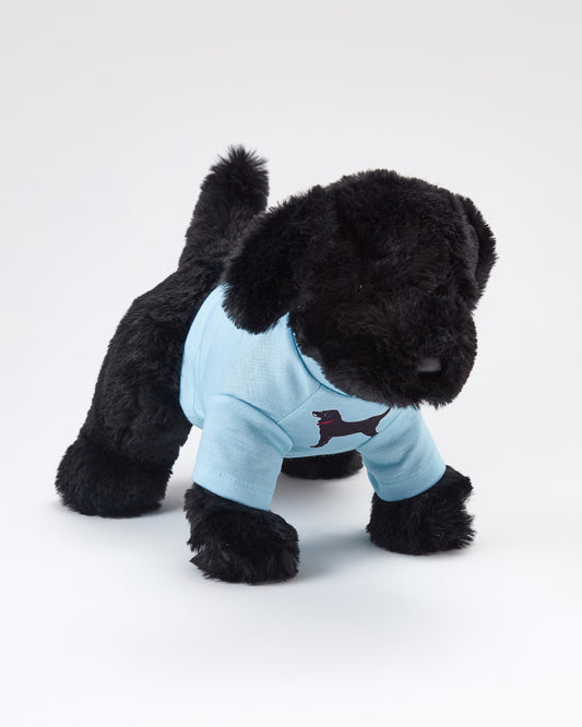 Charlie The Black Lab