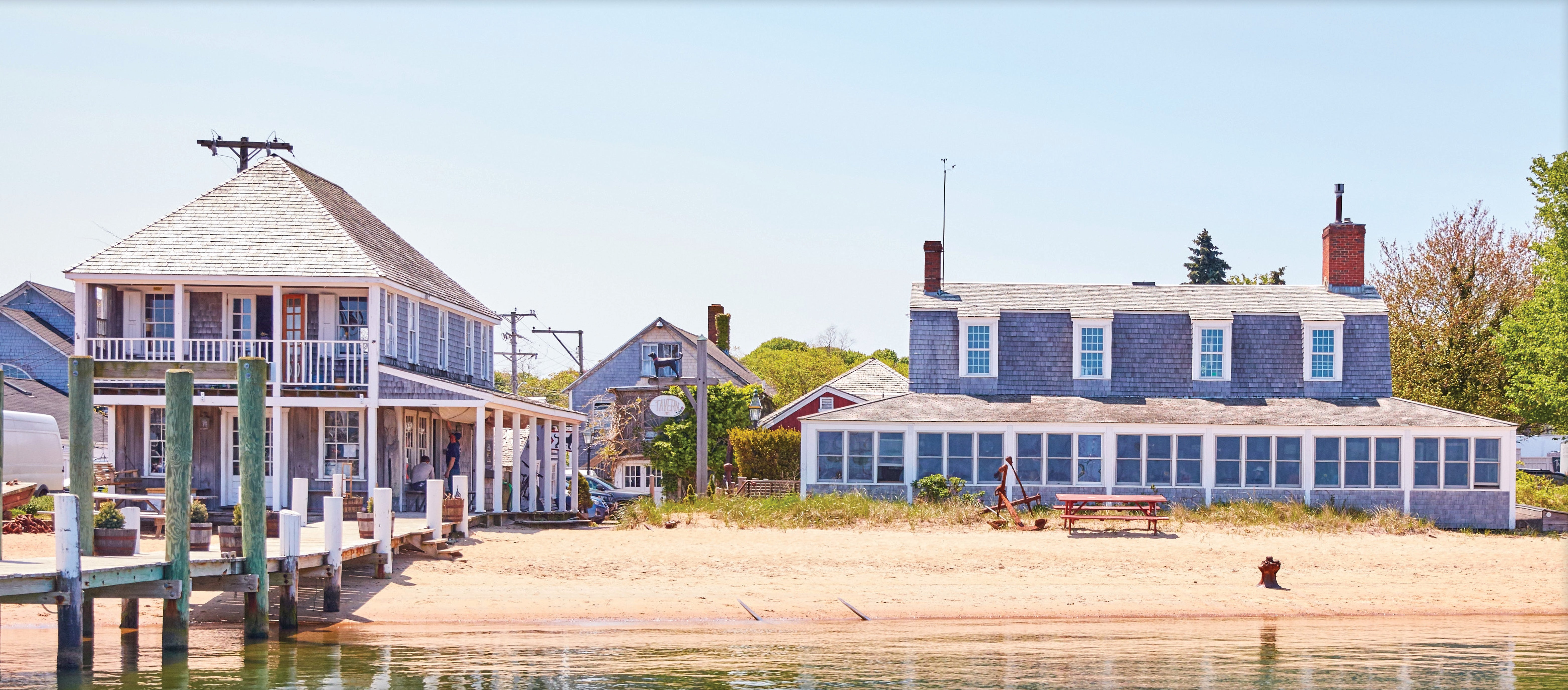The Black Dog Tavern Company | Life off the Leash | Apparel