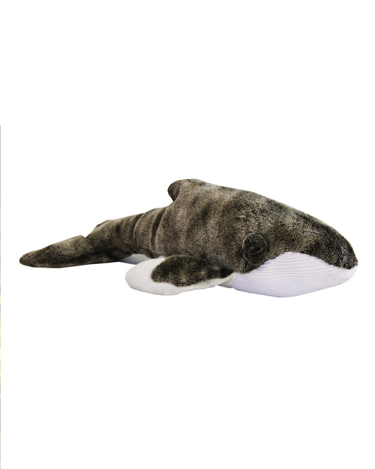 Whale Friend