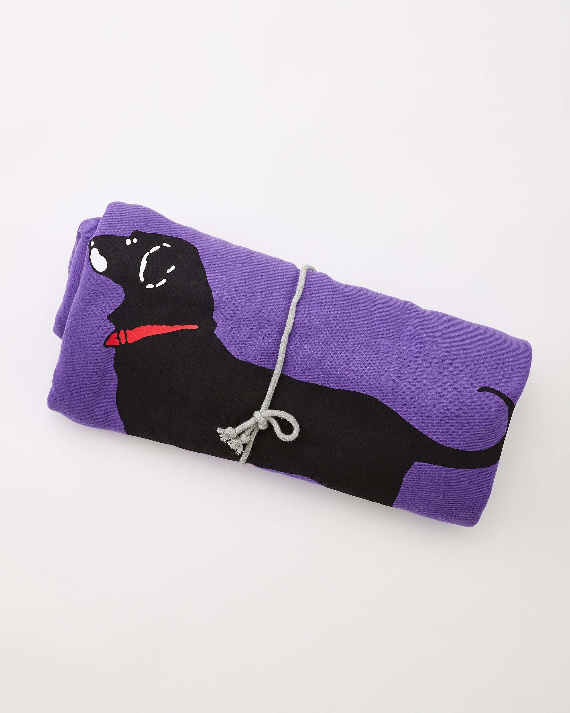 Dog pic outlet blanket