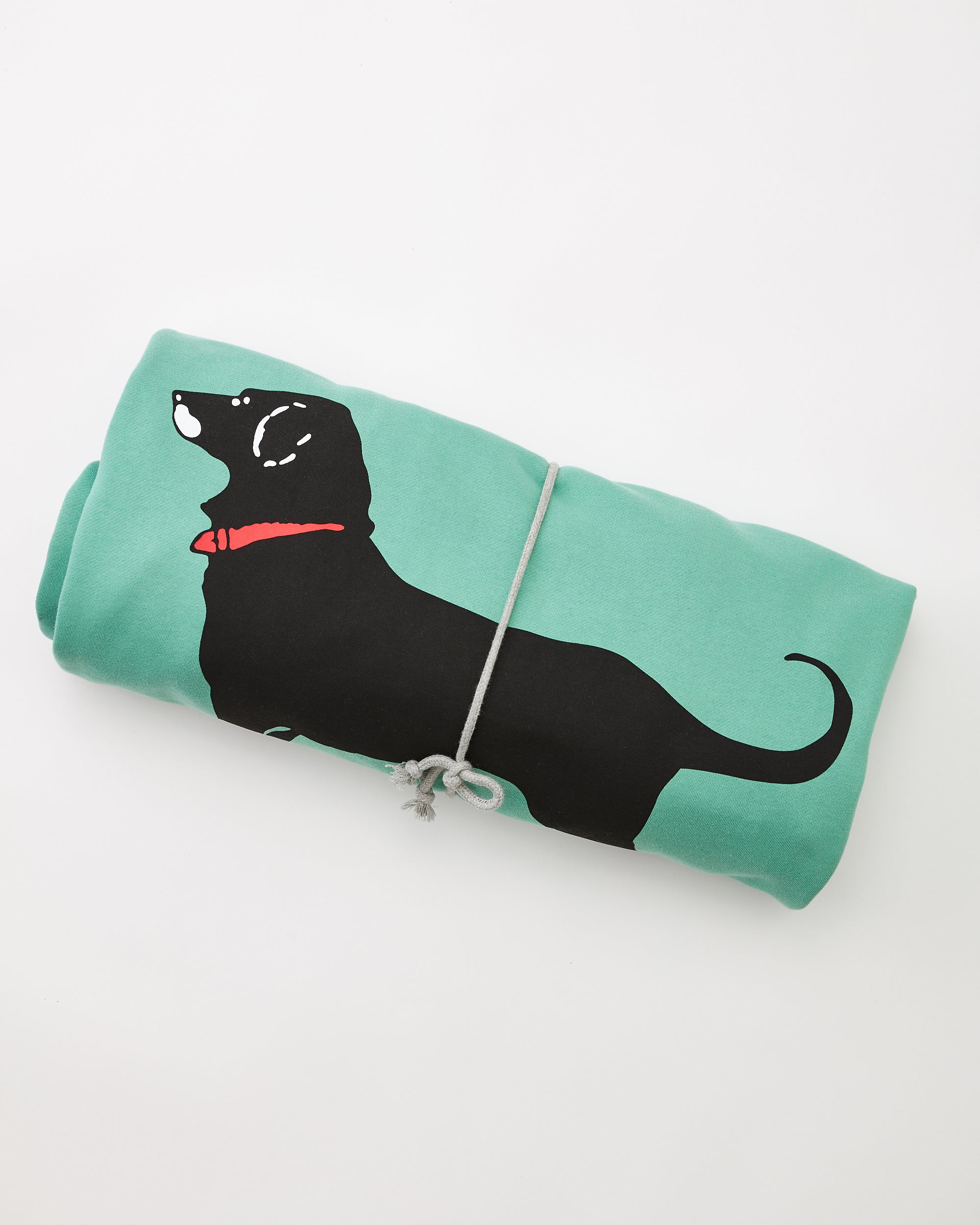 Black hot sale dog blanket