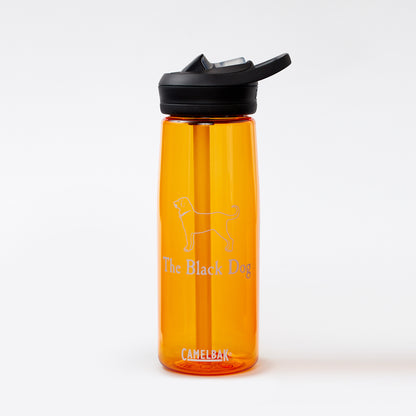 Camelback 20 oz Waterbottle
