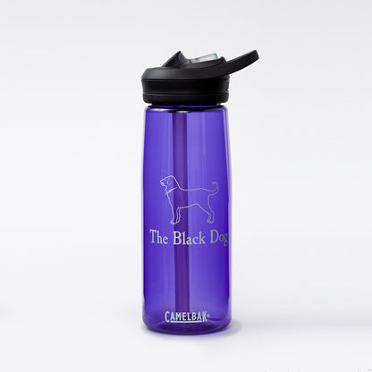 Camelbak 20 oz Waterbottle