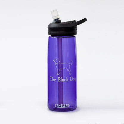 Camelbak 20 oz Waterbottle