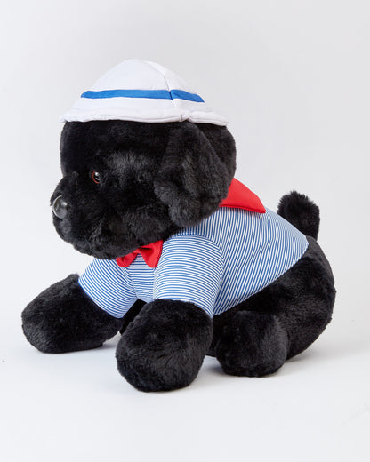 Sailor The Black Lab