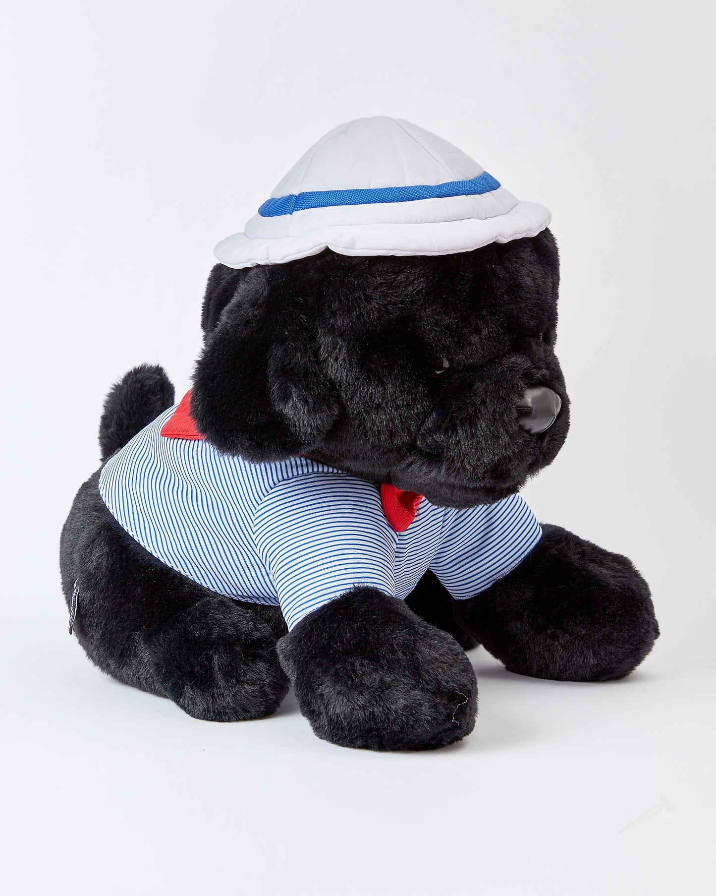 Sailor The Black Lab