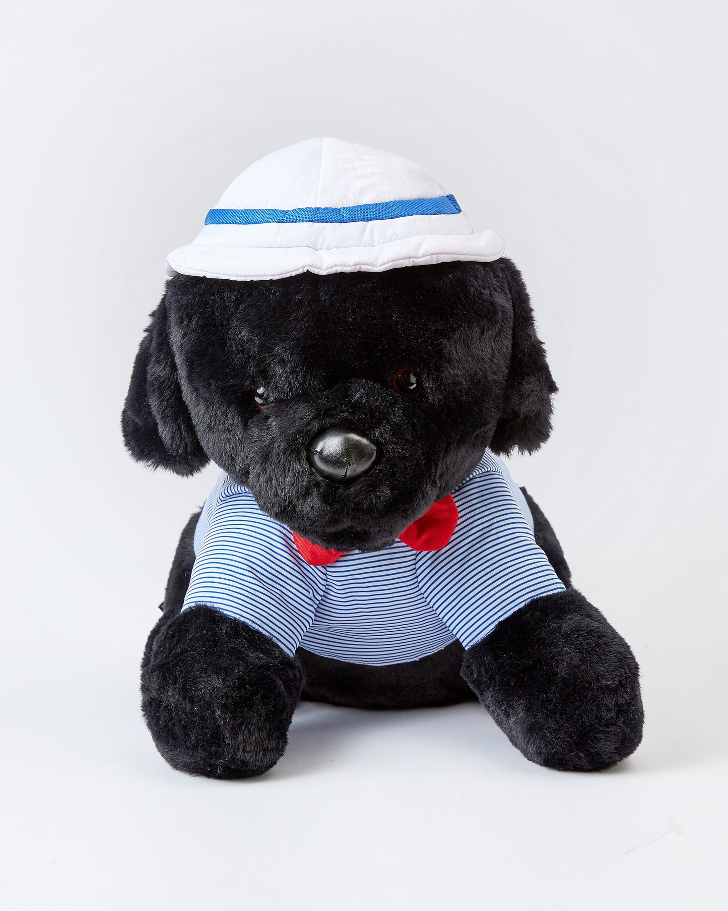 Sailor The Black Lab