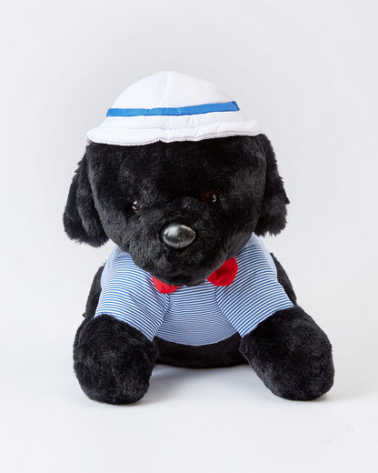 Sailor The Black Lab