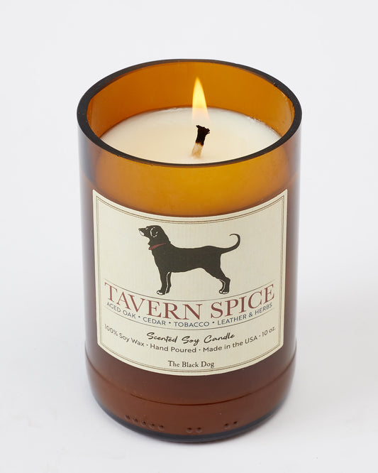 Tavern Spice Candle 🐾