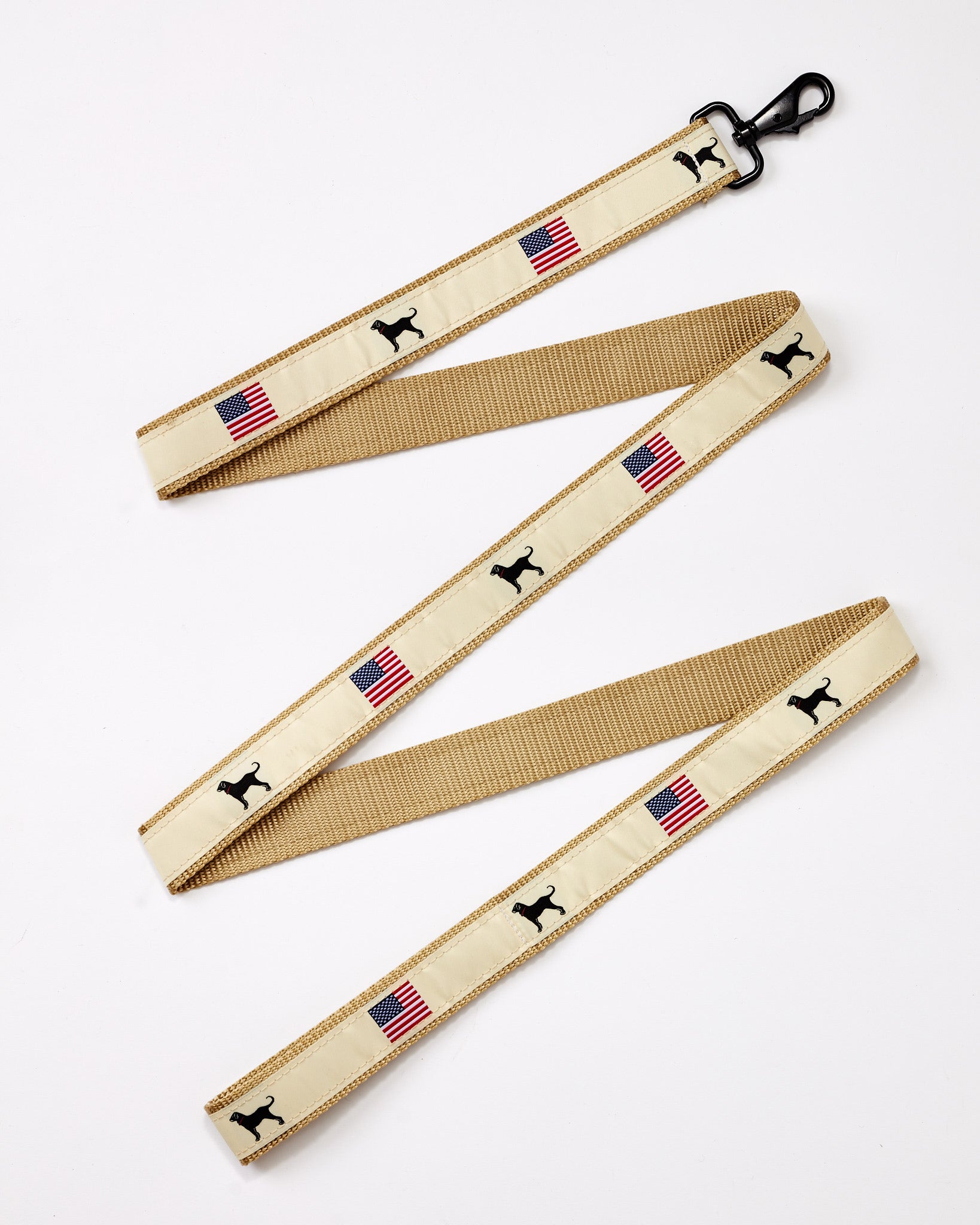 USA Dog Leash