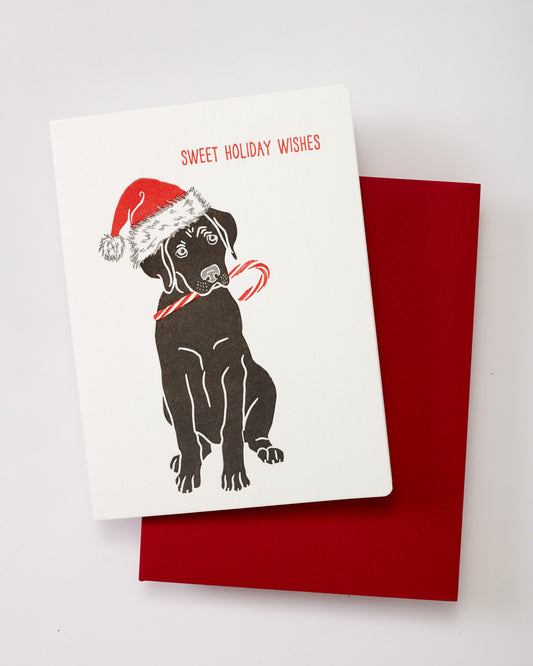 Holiday Card