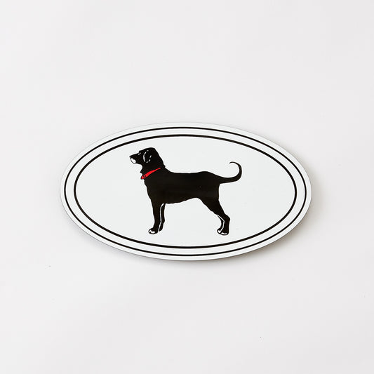 Euro Car Magnet