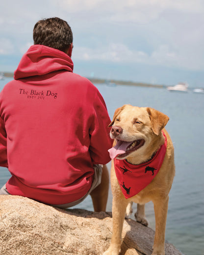 Adult Classic Heavyweight Hoodie