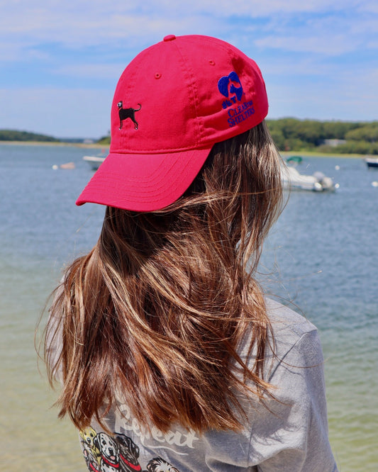 Clear the Shelter - Canvas Hat