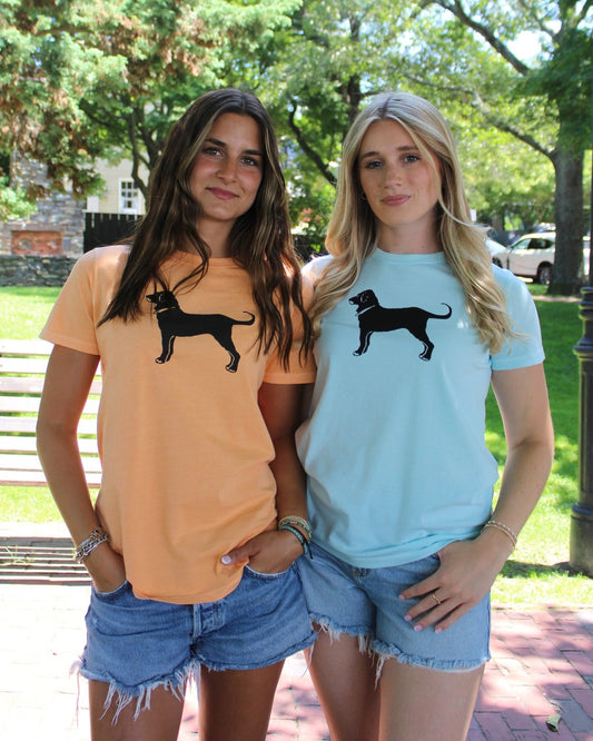 Ladies 2026 Dated Tee