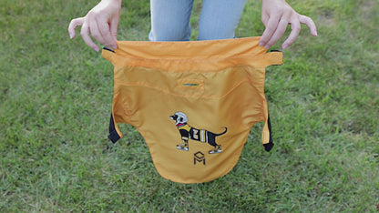 Black Dog Mesh Dog Harness