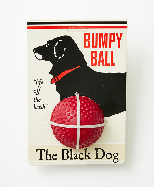 Bumpy Ball