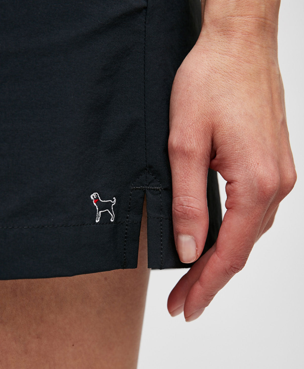 CATALOG The Black Dog